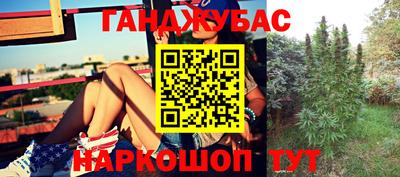 прущие крисы Усть-Джегута