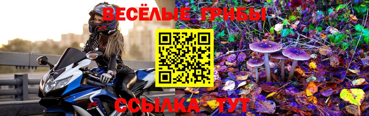 Прокопьевск  Галлюциногенные грибы Psilocybine cubensis  Галлюциногенные грибы прущие грибы  Вход с VPN 